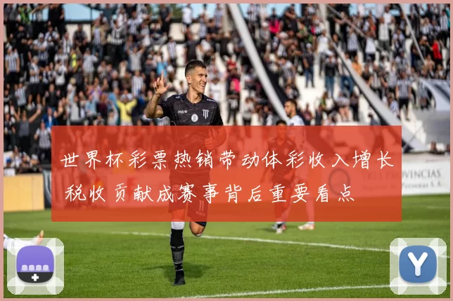 世界杯彩票热销带动体彩收入增长 税收贡献成赛事背后重要看点