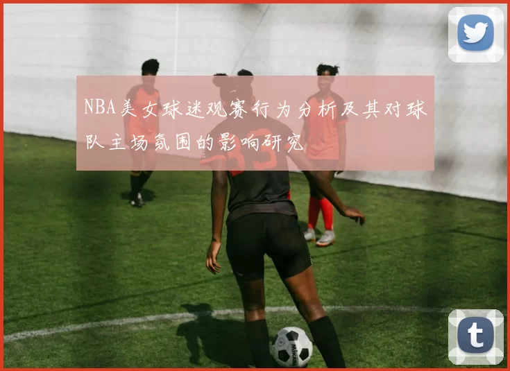 NBA美女球迷观赛行为分析及其对球队主场氛围的影响研究