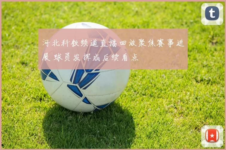 河北科教频道直播回放聚焦赛事进展 球员发挥成后续看点