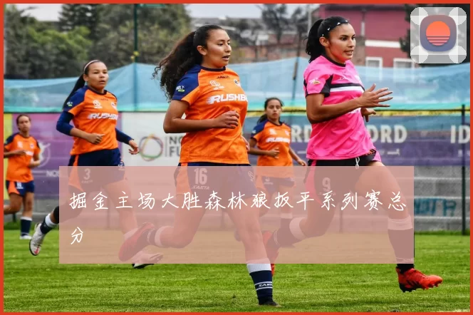 掘金主场大胜森林狼扳平系列赛总分